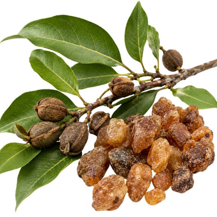 Balsam (Peru) Essential Oil 100% pure