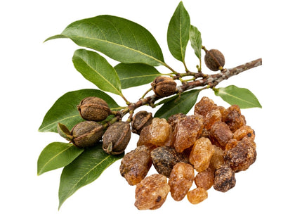 Balsam (Peru) Essential Oil 100% pure