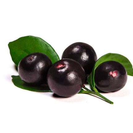 Acai Berry Oil - Organic