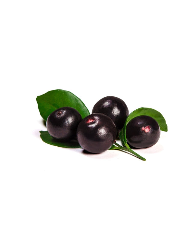 Acai Berry Oil - Organic