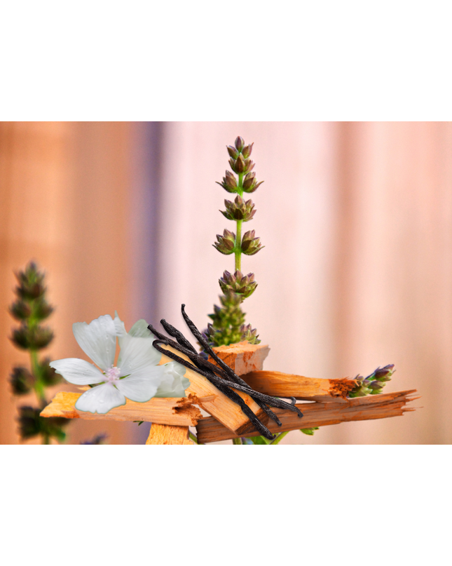Vanilla, Patchouli & Sandalwood Fragrance Oil
