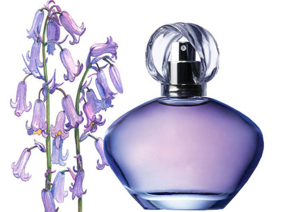 Wild Bluebell's Type Fragrance Oil