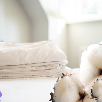 Fragrance Oil Clean Cotton