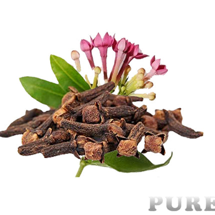 Clove Bud Essential oil