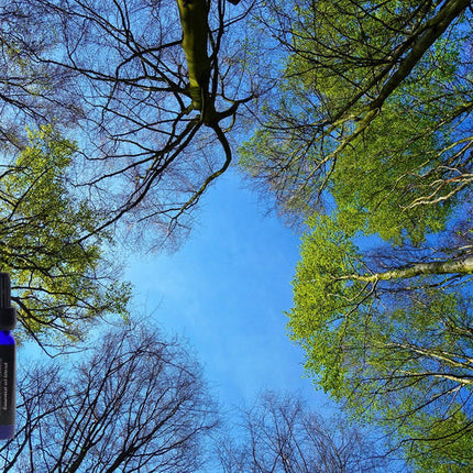 De-Stress Essential Oil Blend 100% pure