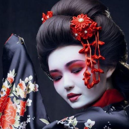 geisha2_SHVOKWW32UWD.JPG