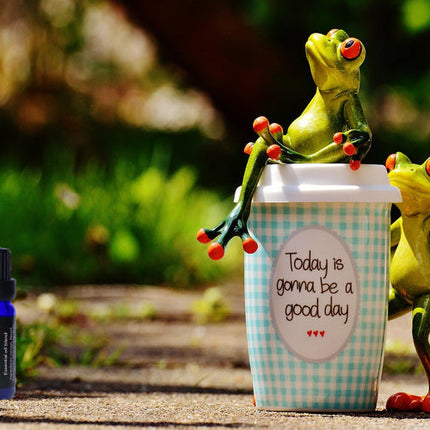 Good Life Essential Oil Blend