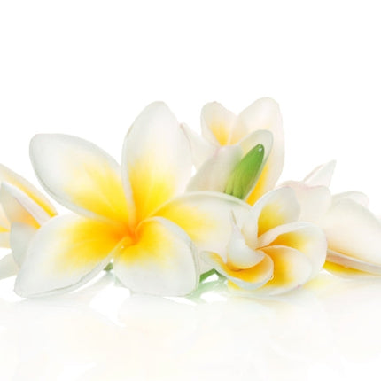 Frangipani Essential Oil