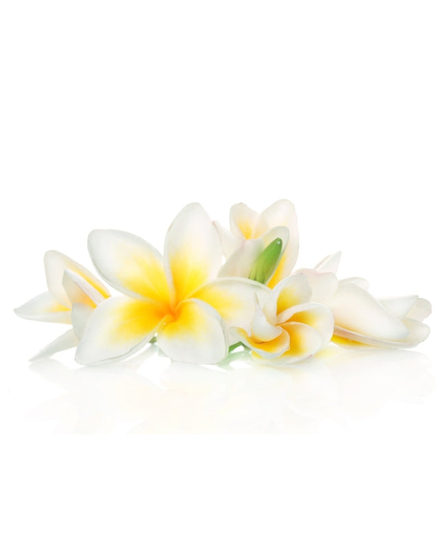 Frangipani Essential Oil