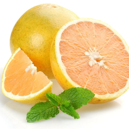 Grapefruit (white) Essential Oil