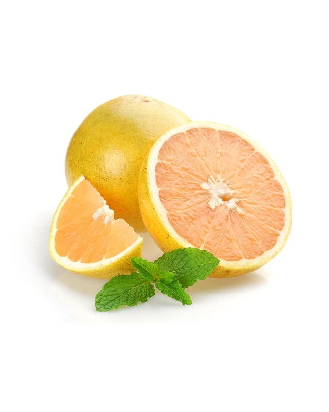 Grapefruit (white) Essential Oil