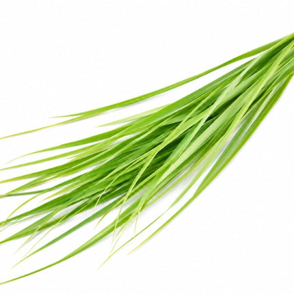 Palmarosa Essential Oil
