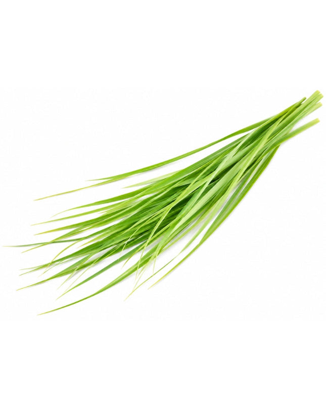 Palmarosa Essential Oil