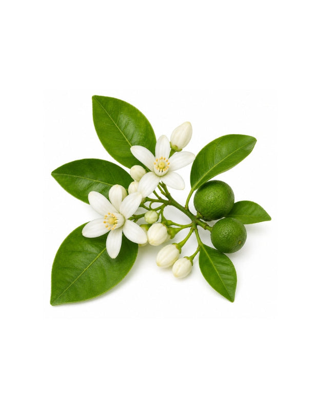 Petitgrain Essential Oil