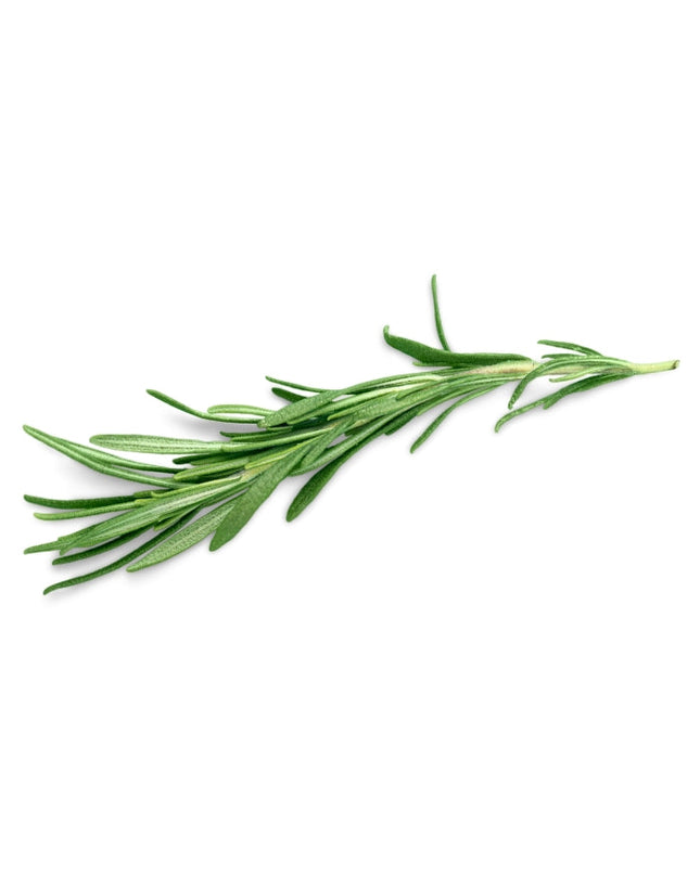 Thyme (white) Essential oil