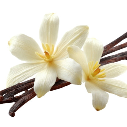 Vanilla Essential Oil