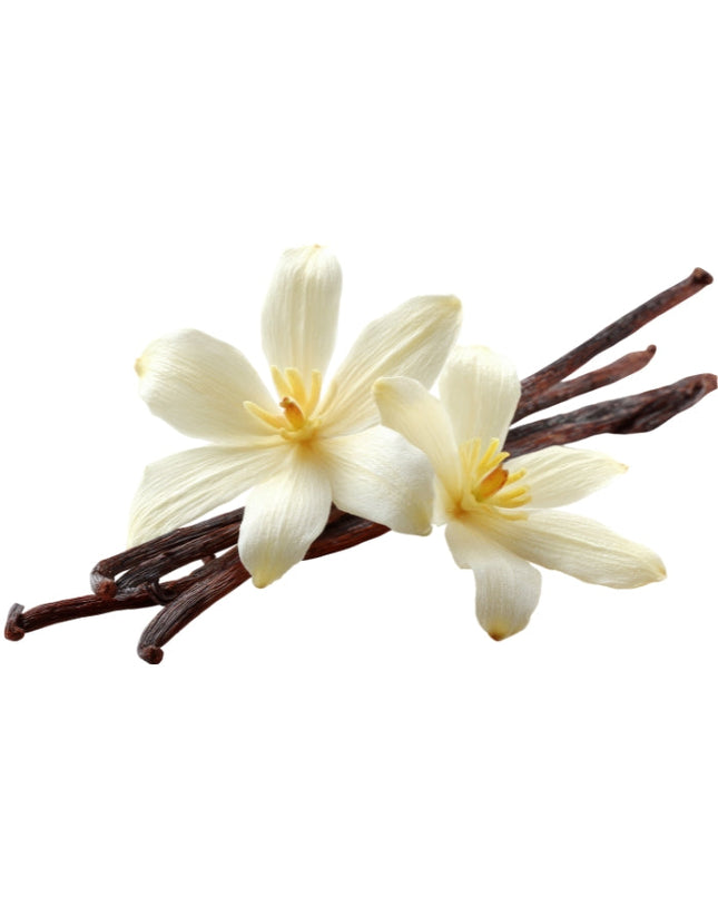 Vanilla Essential Oil