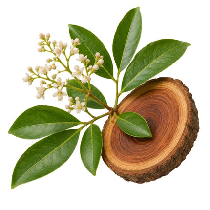 Rosewood Essential Oil