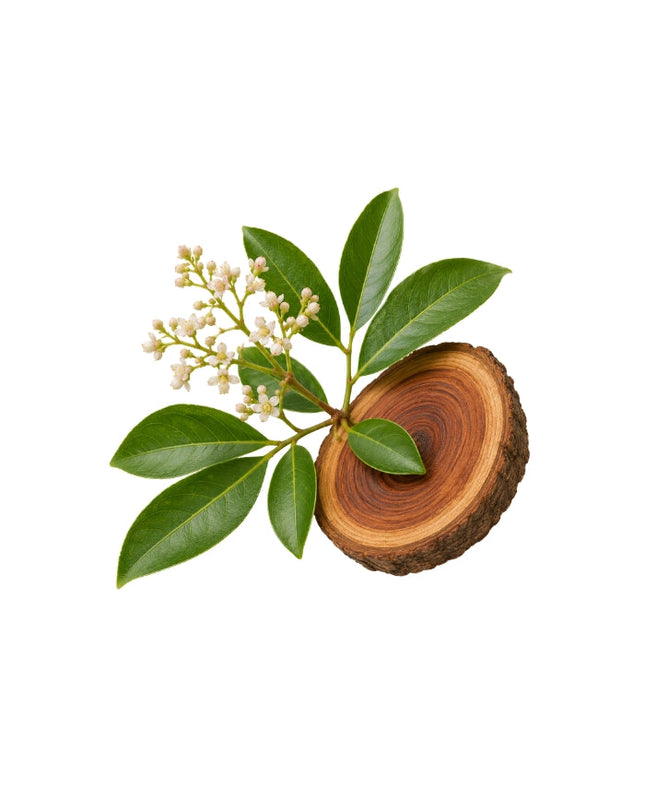 Rosewood Essential Oil
