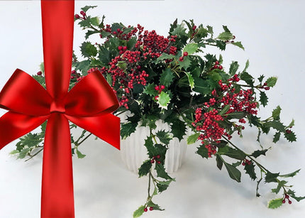 Holly Berry - Fragrance Oil