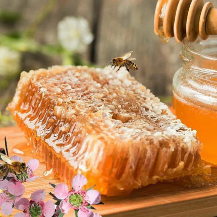 honeycomb_SHFEPBOHBV71.jpg