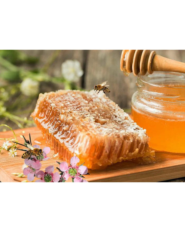 honeycomb_SHFEPBOHBV71.jpg