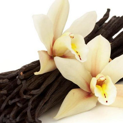 iStock_Sarongvanilla_S1TTQOEKDDXG.jpg