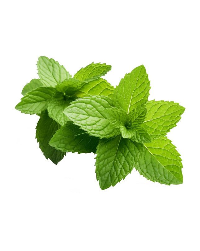 Peppermint Essential Oil