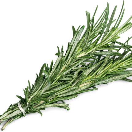 Rosemary Essential Oil