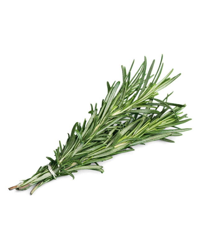 Rosemary Essential Oil