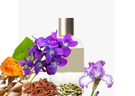 Santal Type - Fragrance Oil -