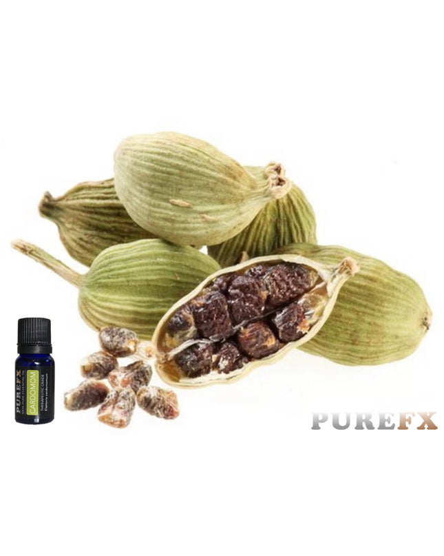 Cardamom Essential Oil