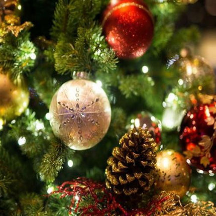 Christmas Tree Fragrance Oil