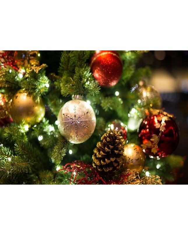 Christmas Tree Fragrance Oil