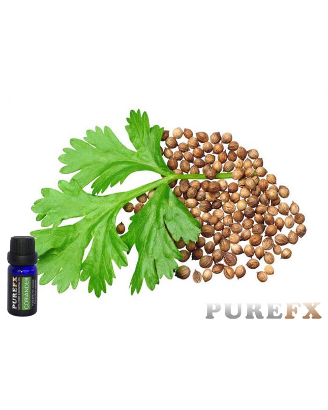 Coriander Essential Oil