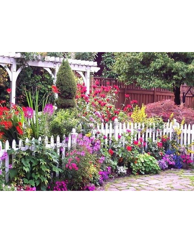 Cottage_Garden_SH8P3JEZ45FG.jpg