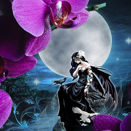 Midnight Orchid Fragrance Oil