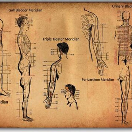 Human-Acupuncture-Points-Art-Wall-Decor-Silk-Print-Poster_S8IEFK3N64VP.jpg