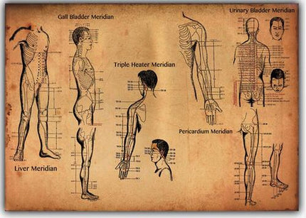 Human-Acupuncture-Points-Art-Wall-Decor-Silk-Print-Poster_S8IEFK3N64VP.jpg