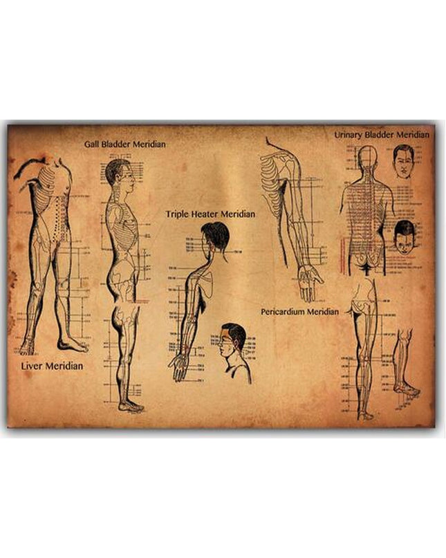 Human-Acupuncture-Points-Art-Wall-Decor-Silk-Print-Poster_S8IEFK3N64VP.jpg