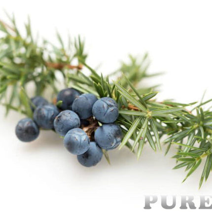 Juniper Berry Essential Oil