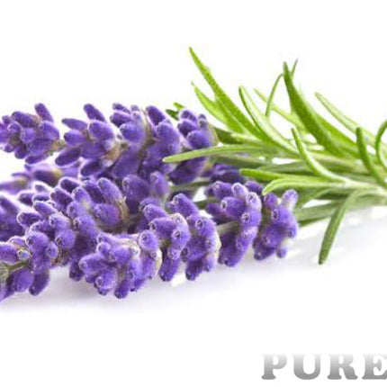 Lavender Essential Oil