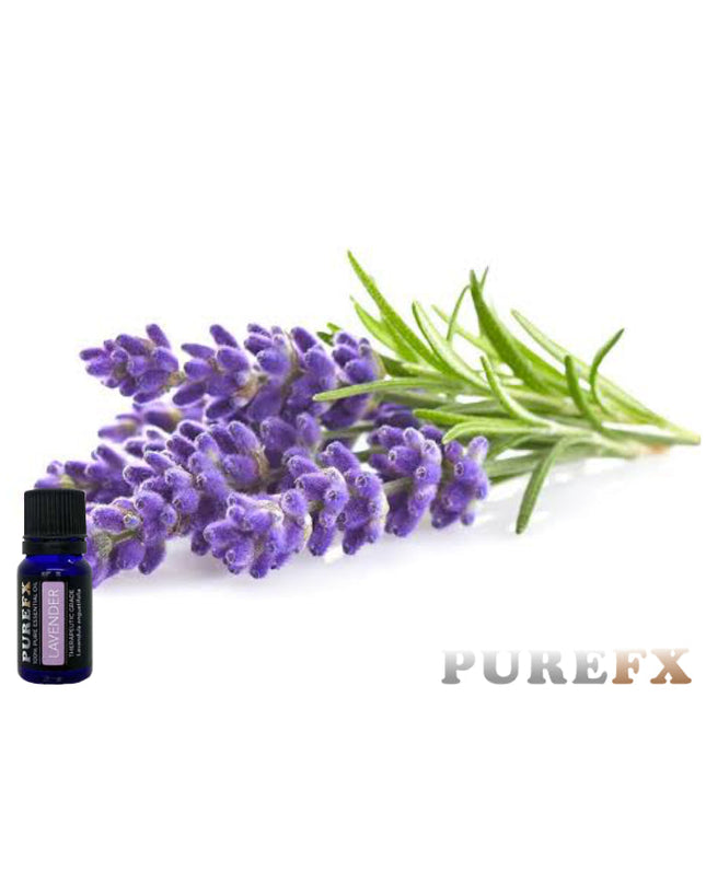 Lavender Essential Oil