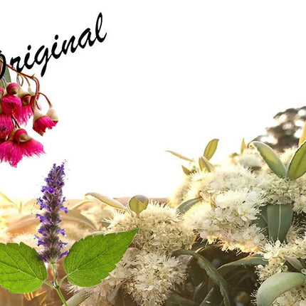 Lemon Myrtle Fragrance Oil