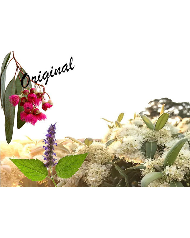 Lemon Myrtle Fragrance Oil