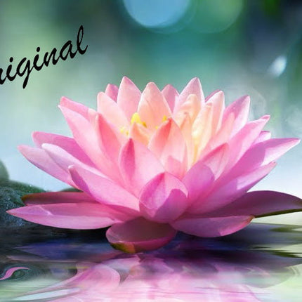 Lotus Flower Fragrance Oil