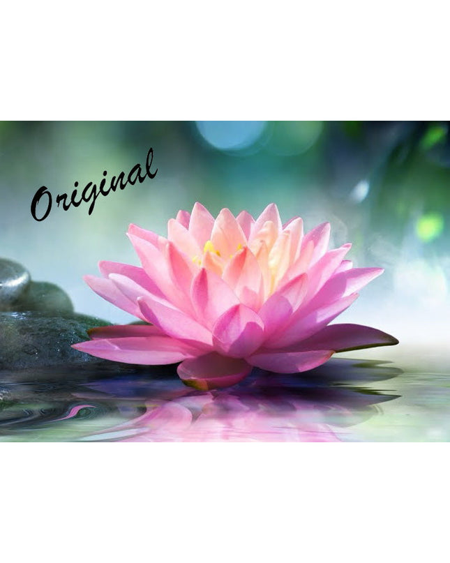 Lotus Flower Fragrance Oil