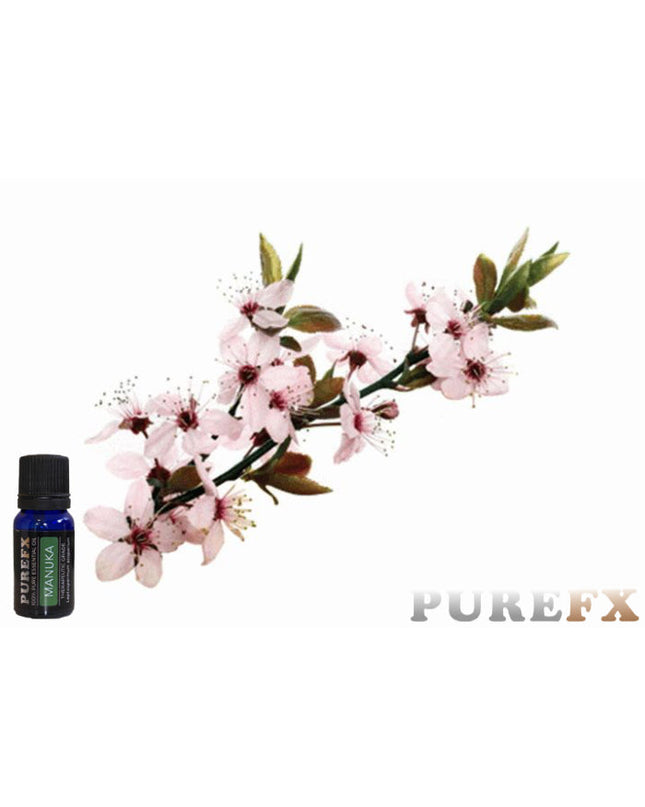 Manuka Essential Oil