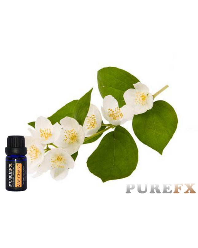 May Chang Essential Oil