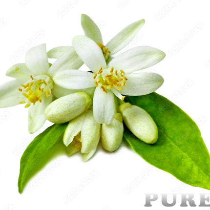 Neroli Essential Oil